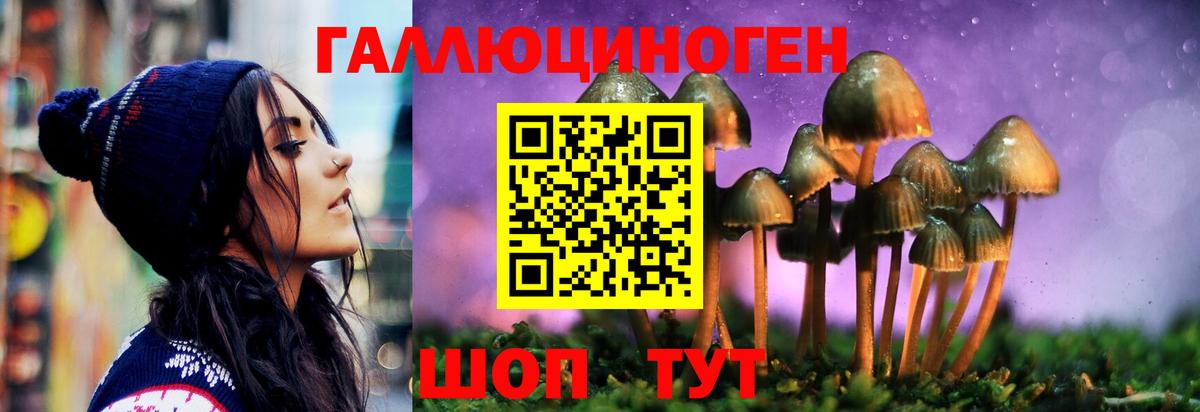 купить   Вход с VPN  Ессентуки  Галлюциногенные грибы Cubensis 